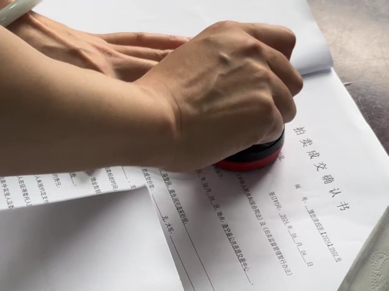 创律拍卖|2024洛宁县陈吴涧、马营涧、底张涧河道采砂权拍卖会圆满成功！(图3)